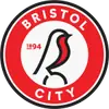 布里斯托尔城